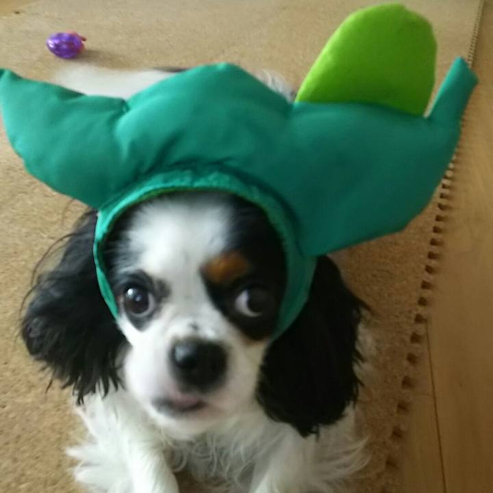 D45f1e9f b75d 49f7 83cf 80246b2553bb 1538895970643