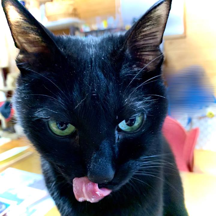 D45f209d bd71 4a11 a011 aa8328fec3d7 1615419014337