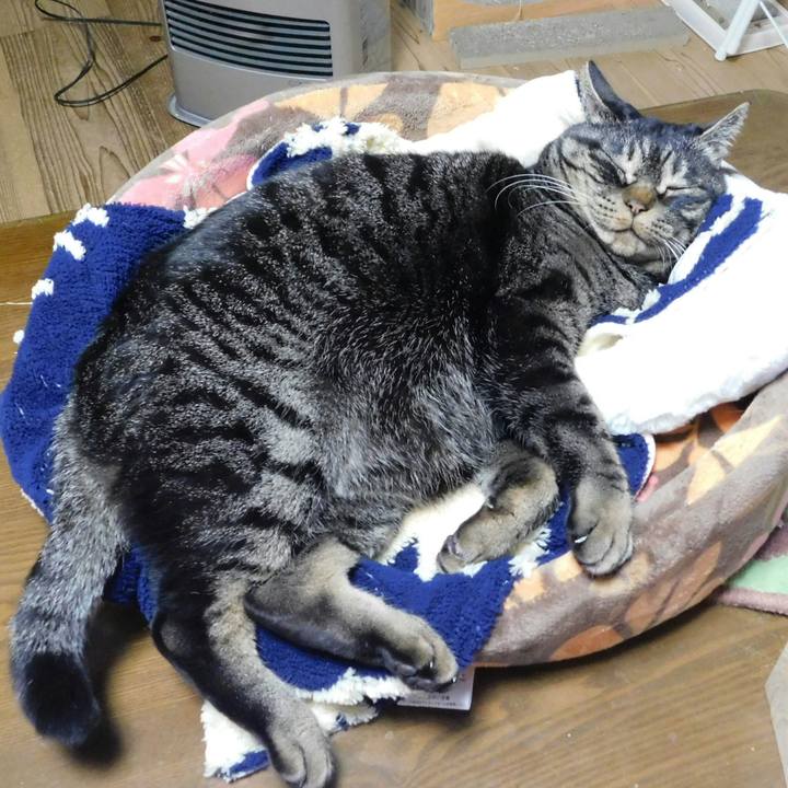 D45f29f3 5dc8 48d8 a796 4e0fac03d8cb 1546179386718