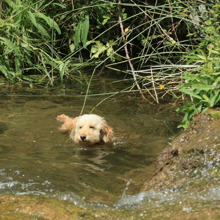 D45f2ed3 bef5 43c3 ae53 c8e956e374b4 1533574626339