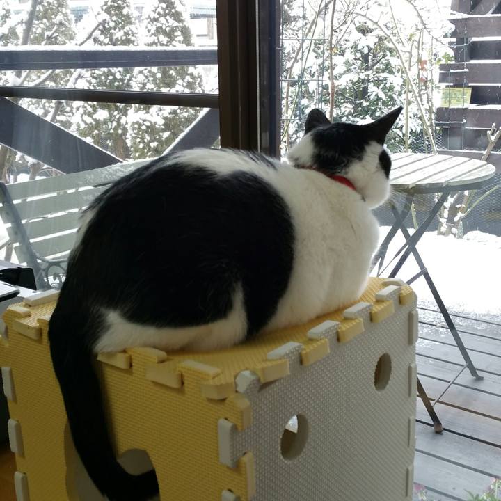 D45f3c5b 0a63 43fc 8bb7 53b1e9c7f259 1514600180994