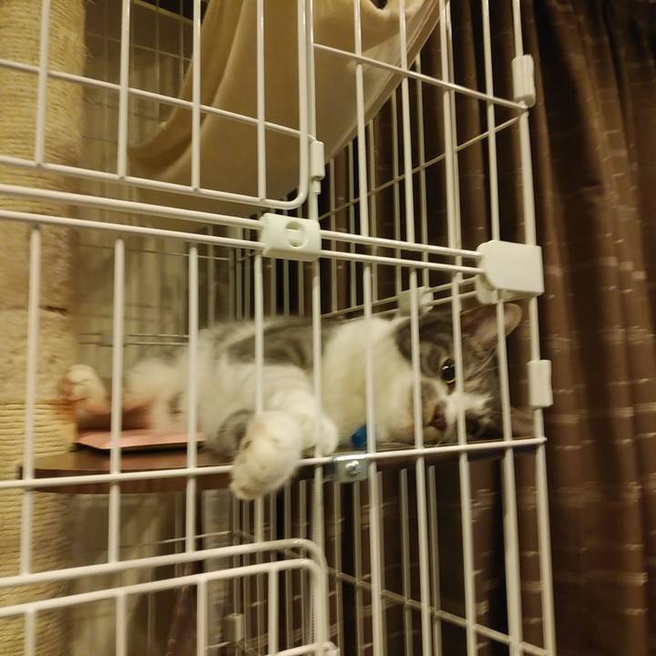 D45f48d8 7483 455d 9bcc de68ffb82f35 1574259546730