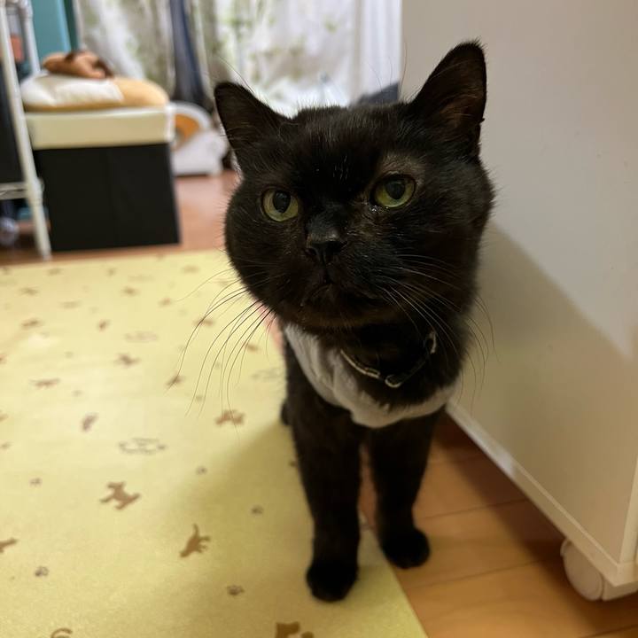 D45f75a3 21f0 483e bac9 919d3593d662 1706069718811