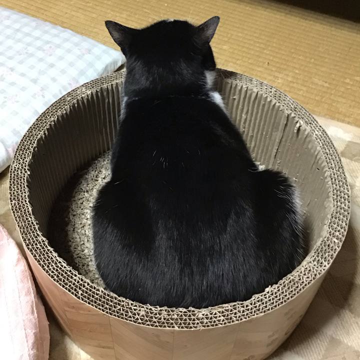 D45f9a1b 2efe 4f63 9955 a471dc4fd2f4 1701087422608