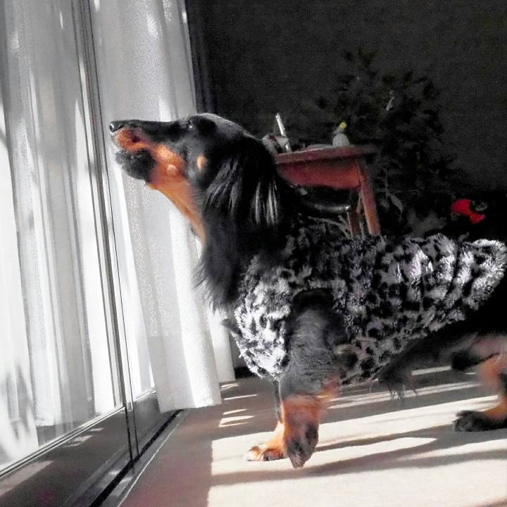 D45fb743 e207 4c70 a85e 7f66cfb14e61 1545357741717