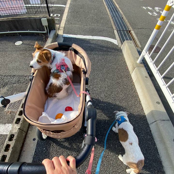 D45fc1cf 77dd 4e57 805d f6af30321e68 1729985490771