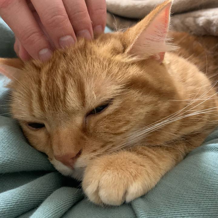 D45ffd2e c1fc 4541 8a90 55aaaab52cd0 1619912980173