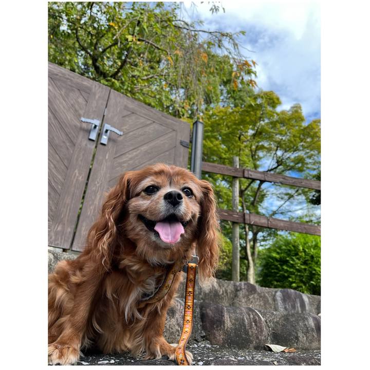 D4601d00 2552 41d5 8b9a 07315762d5b5 1760230079230