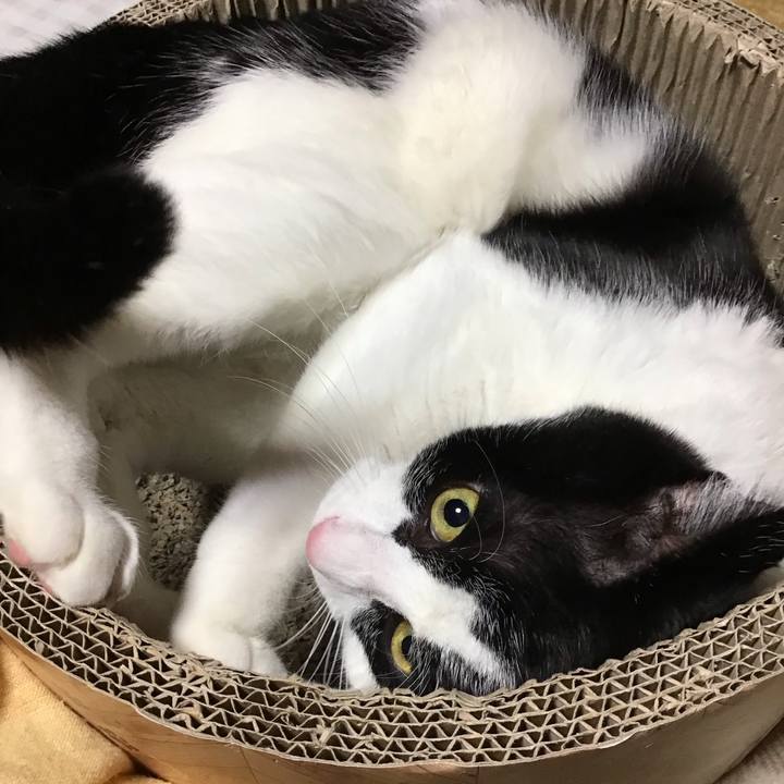 D4604577 9b3e 47e6 8ec1 da1f129c03a3 1703149029000