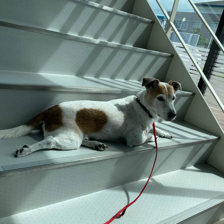 D46078e5 65ad 4227 abf2 b29c0a418c48 1599363287410