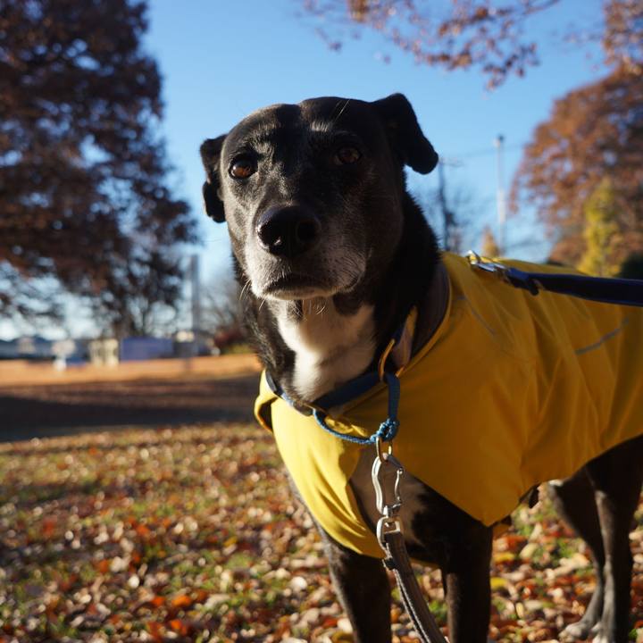 D460806d 2b63 4c25 b011 d6b8468f1311 1764891159393