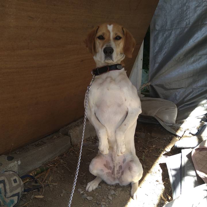 D4609529 5957 40c5 8f6e 2c9213b2d890 1619413815450