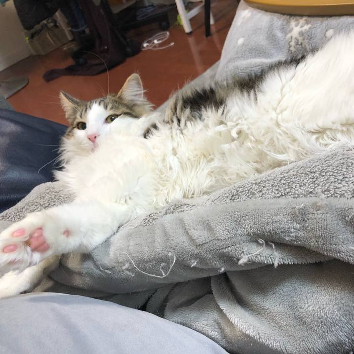 D460ca93 4d69 40fb b53a 2a1d51bbc9b1 1520839124106