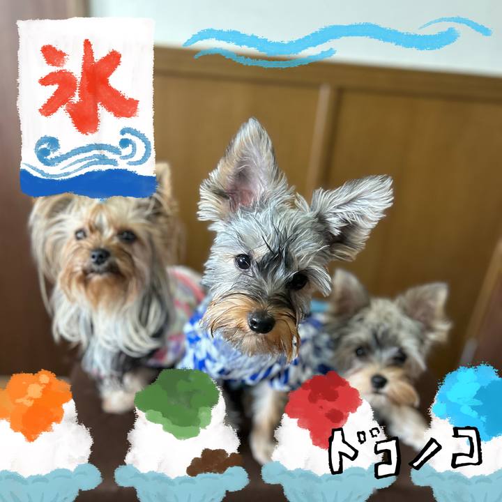 D461011f 049f 4064 aca0 11da5c582fc0 1723767134126