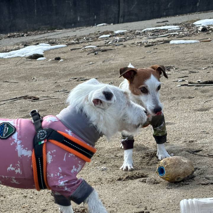 D46141d3 7937 4b8f 835c b60a110e2a69 1770954624247