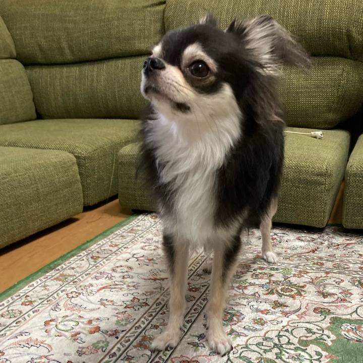 D46141f4 fb8d 4249 b956 ee4ce661c37e 1663923857531