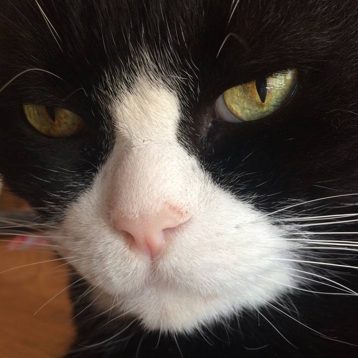 D4615b01 f654 43cd 85a9 f0828aaf917b 1509680661985