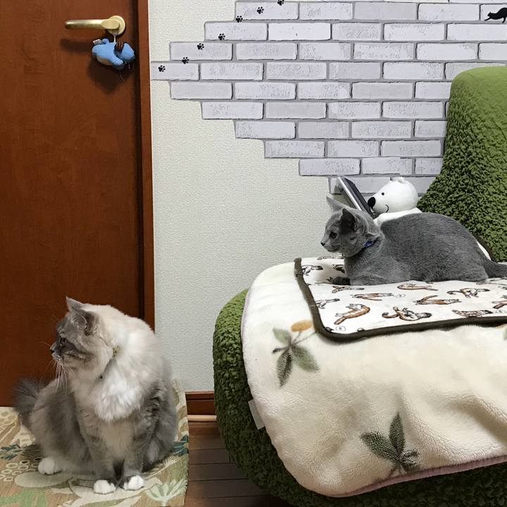 D461bbbc 0e47 452f ae78 d0e5d0736a54 1508043258191