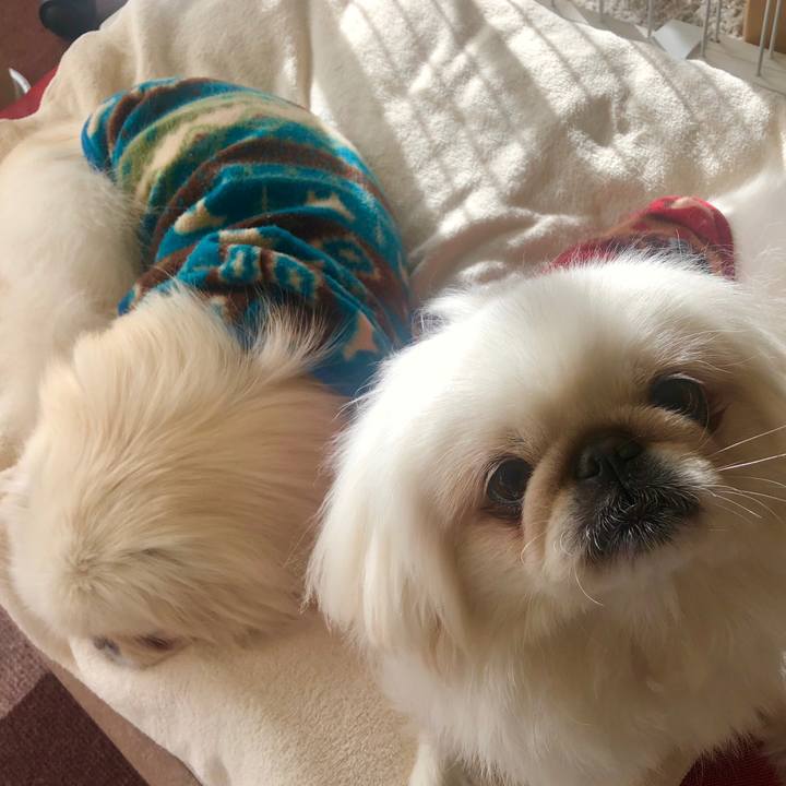 D461c4d6 a692 4ebf 98f1 f440f3bb2b98 1611726311440