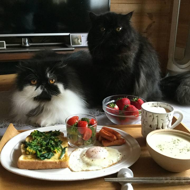 D461da9f d659 4f90 b807 58fda28bdbae 1521853528532