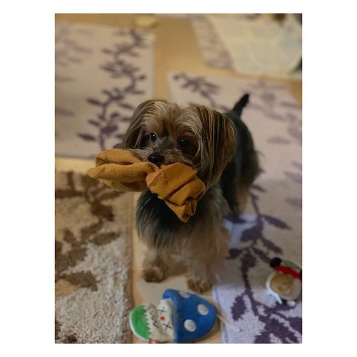 D461e1d9 2ef4 4218 b403 54f038cffddd 1550654488082