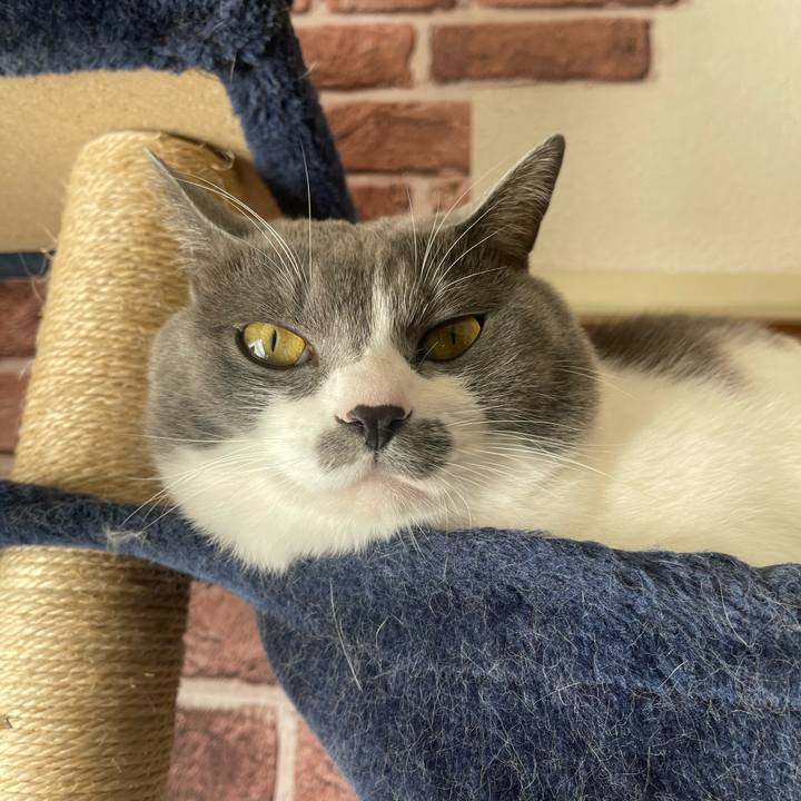 D461e3e2 bf97 4435 a246 bea09d887d9f 1669508049929