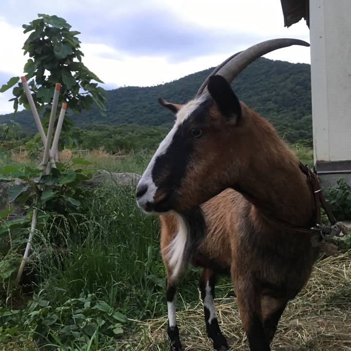 D461e55b fe1b 465f b081 1ac4b024c4f2 1560206867884