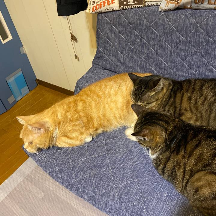 D461ffaa ba3b 4605 8ce6 36bf1ca3b248 1637338602452