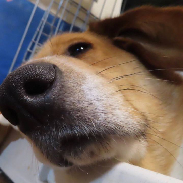 D4622a95 ce0d 4b93 ac72 7a4da3471c60 1648895089826