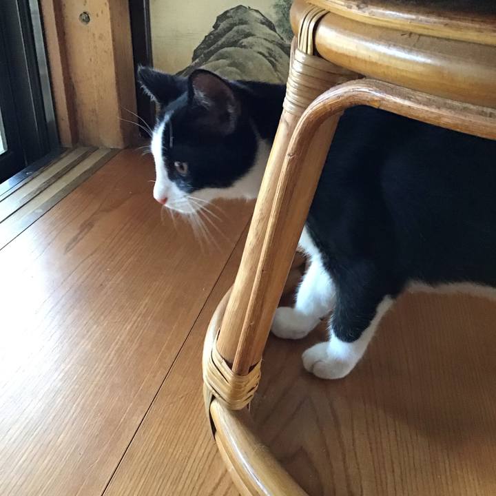 D4623ce4 7834 4e5f baab 33a1ef58800b 1628070891423