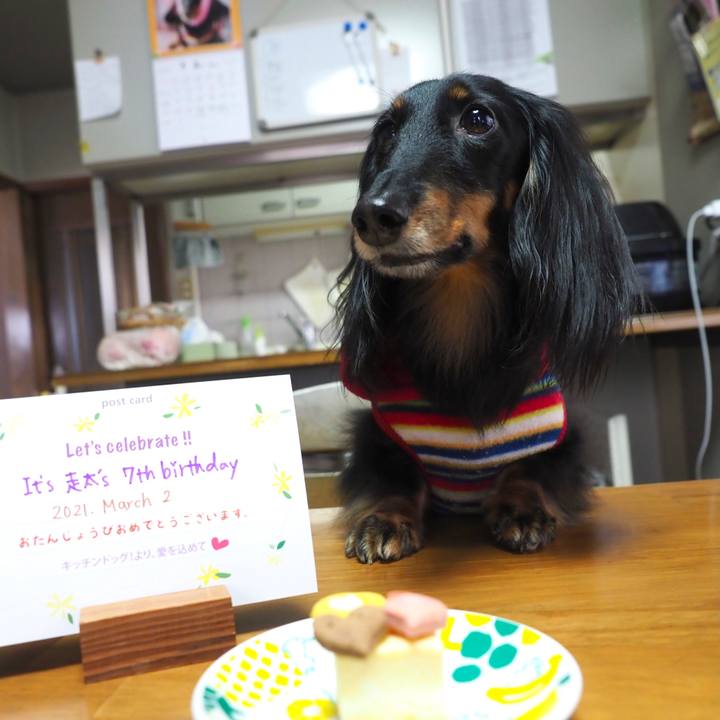 D462752a f7c0 4728 915e 9689be4cc68e 1614662799002