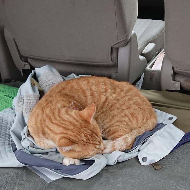 D462d05e b59d 49fd 86cf 31e724205dba 1563091132240