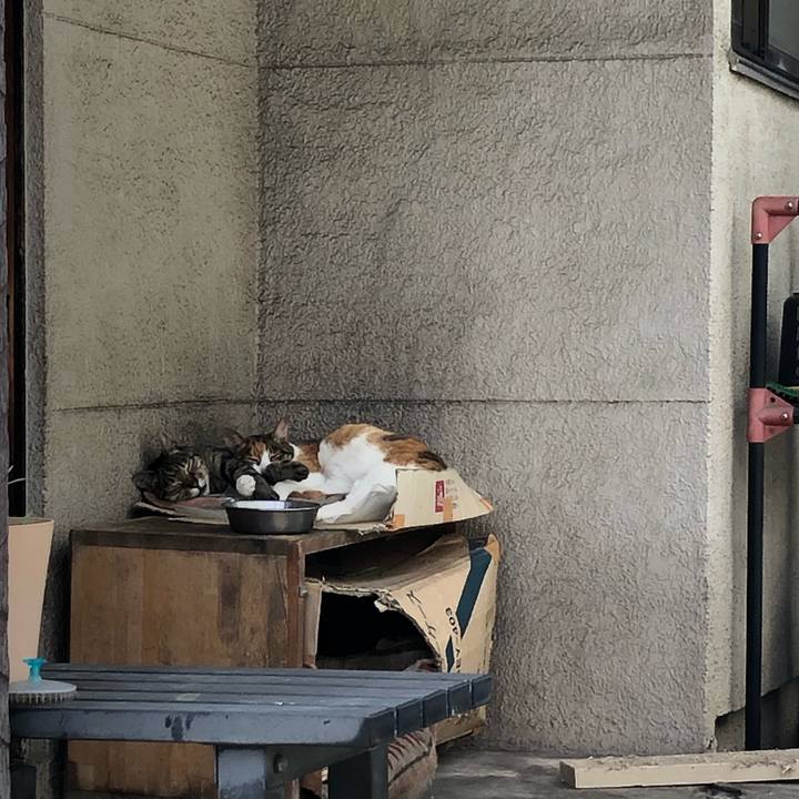 D46322b9 bf2e 4942 af80 a645748d5520 1593518447203