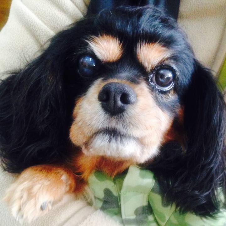 D463291c ef55 4eb9 8349 359ee33ba73d 1594738078474