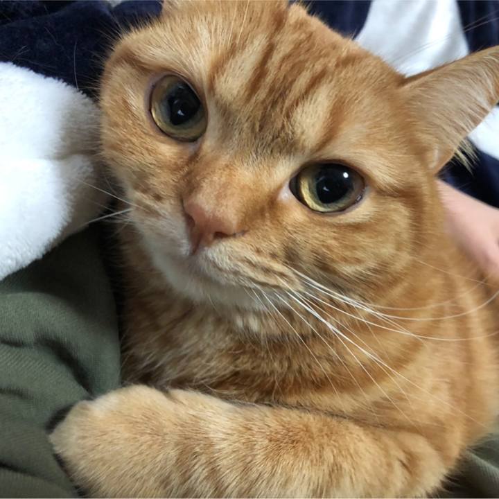 D4635946 d8c0 4157 859c 6abb83c21b8d 1614327166818