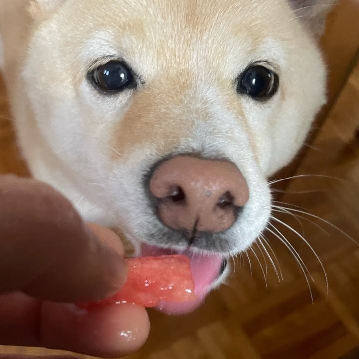 D4635cd4 4d1f 4439 a63f 58645c12cb17 1686608203985