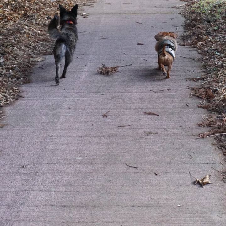 D4636261 5688 4b91 b137 3a0300dde574 1582341056192