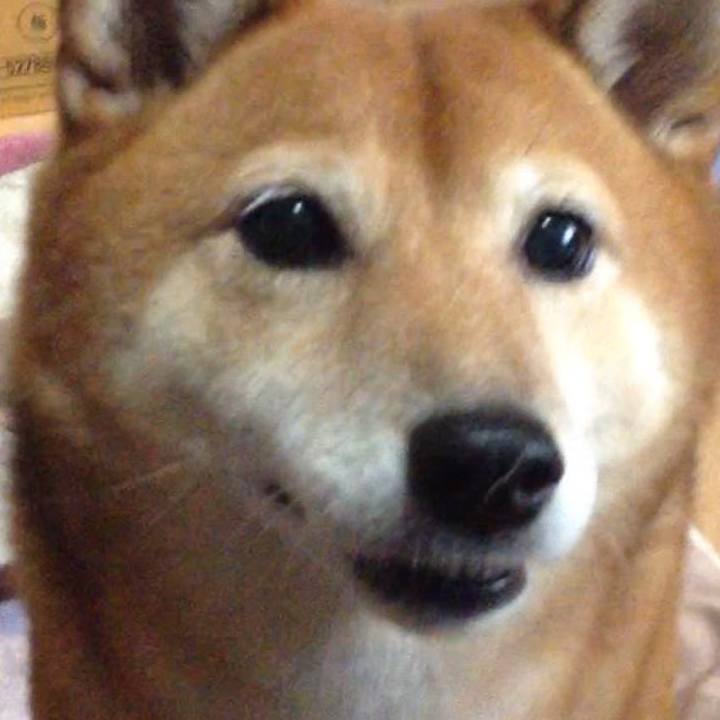 D4636395 a7dd 4583 8e34 a221e9f4c209 1540259240109