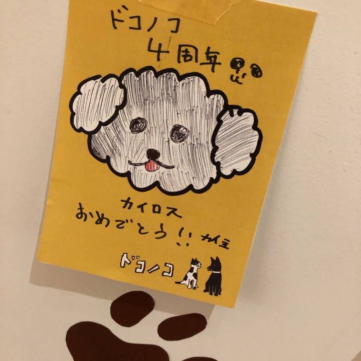 D46403f6 3749 4d17 a9d2 6b3ba3099efe 1592382209728