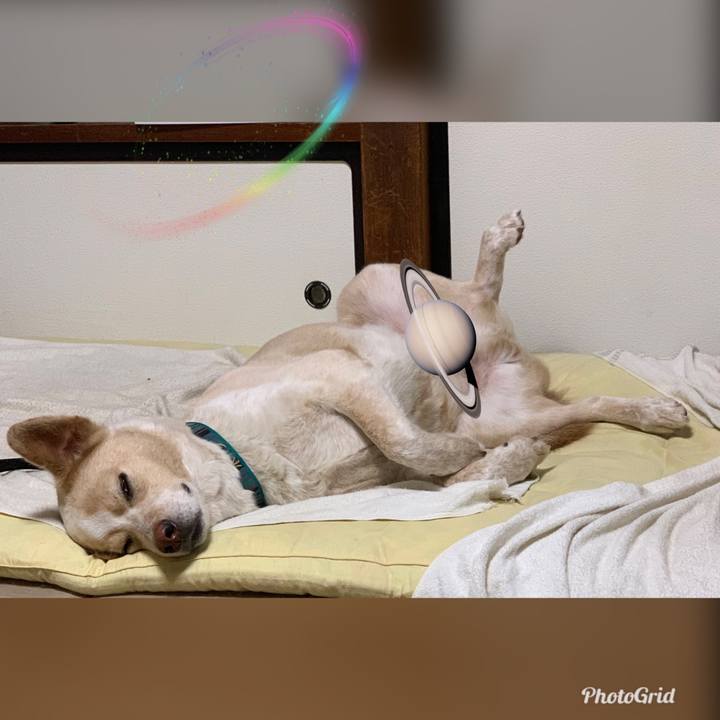 D4643afa fc24 4946 b2bf c96422e83b45 1559919953757