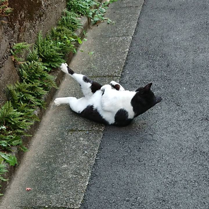 D46496f6 de08 4860 9eda 3b1bddf0c3c9 1664613389751