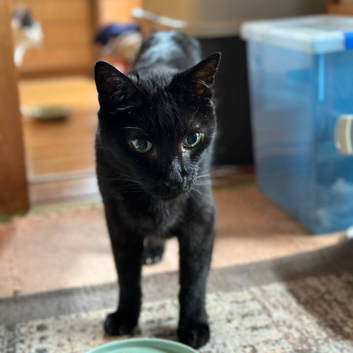 D464a197 8d1b 41c7 aced 5d56e186b3c4 1690159275405