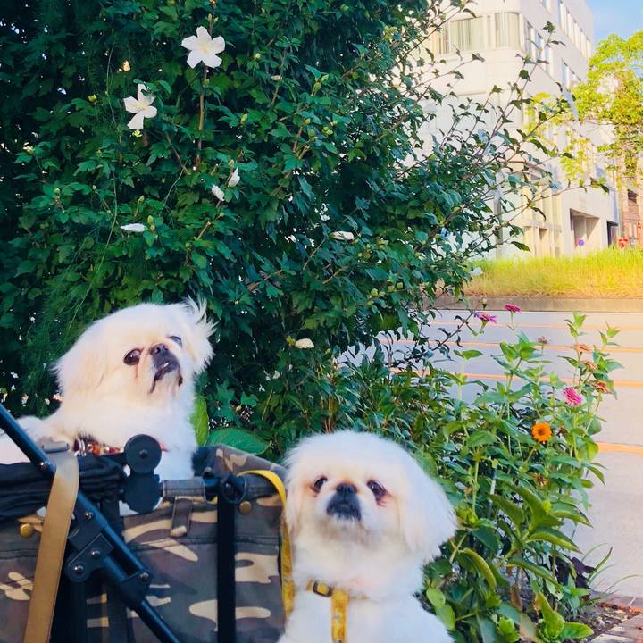 D464b620 3d72 42e1 830f 37c2d46b0569 1598657149575