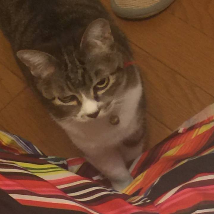 D464d454 2e5a 4efa bc6b 09072e363a01 1559400598599