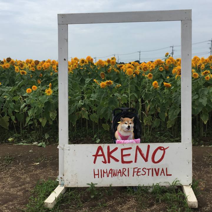 D464d46f 8033 42ef 849c 9df122f7d648 1567306382114