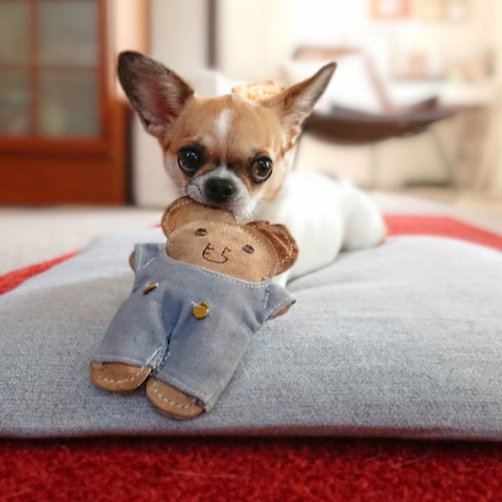 D464f479 d148 40c2 8186 85ce27fb0adc 1599779417811