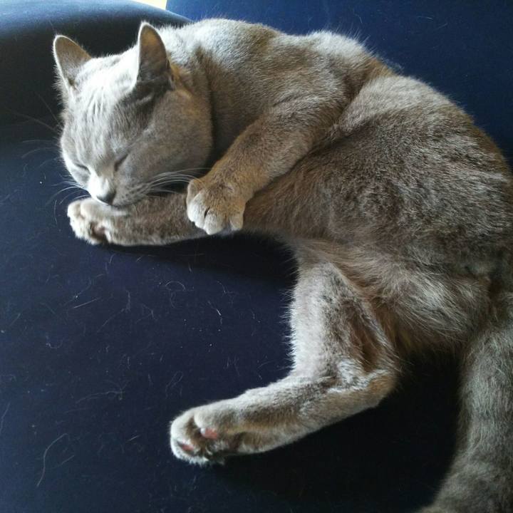 D464f494 67c5 4d96 9da5 d249583742e2 1508909842000