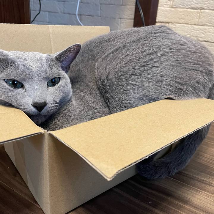 D4650498 63bf 45d9 9f5b 83db72f71e76 1736495092592