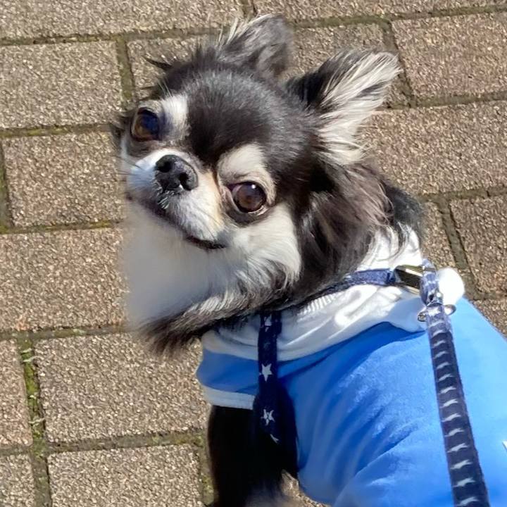 D4650907 a6c0 4a7a 807d 694609640071 1651559279720