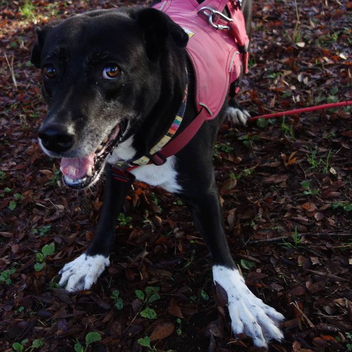 D46515d8 15b0 4f4d be74 94997d1245f7 1700268931868